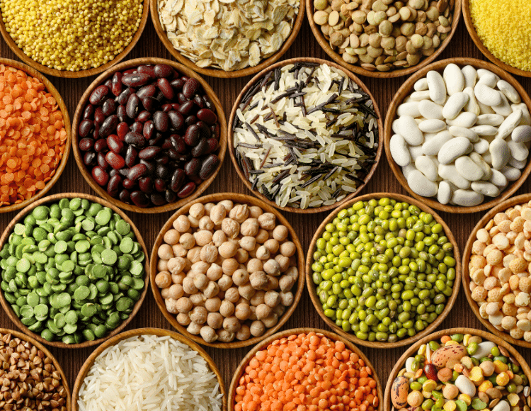 İHRACAT HİZMETLERİ